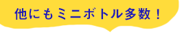 他にもミニボトル多数！