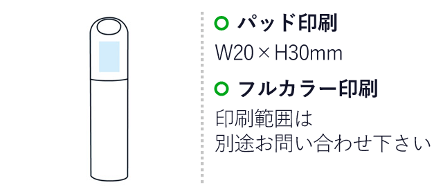 カラーペン１０色セット（SNS-1001762）名入れ画像　パッド印刷　W20×H30mm　フルカラー印刷　印刷範囲は別途お問い合わせ下さい