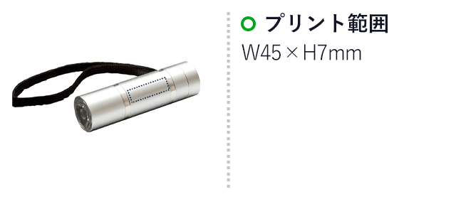 1Wアルミライト（SNS-2600015）名入れ画像　7×45 mm